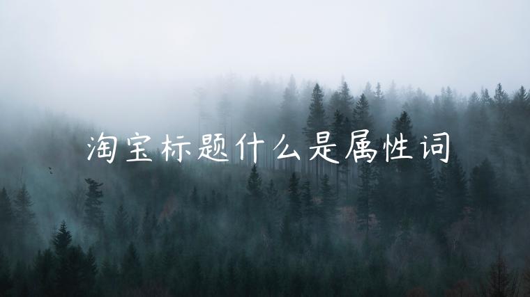 淘寶標(biāo)題什么是屬性詞